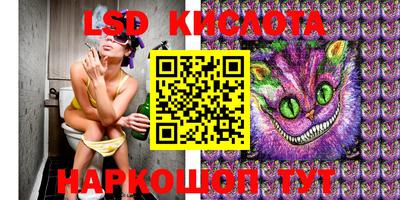 spice Канаш