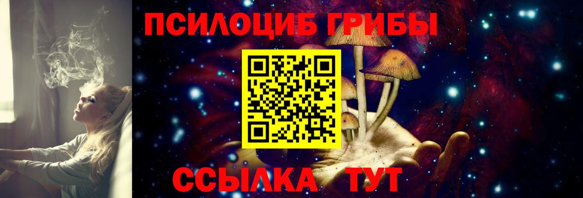 Галлюциногенные грибы Cubensis Киржач